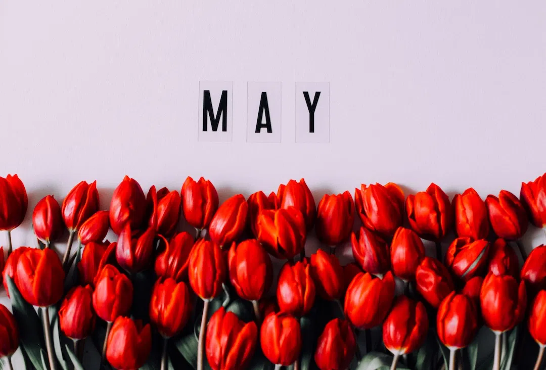 month-of-may-may-background-calendar-month-2021-08-30-02-47-56-utc copy