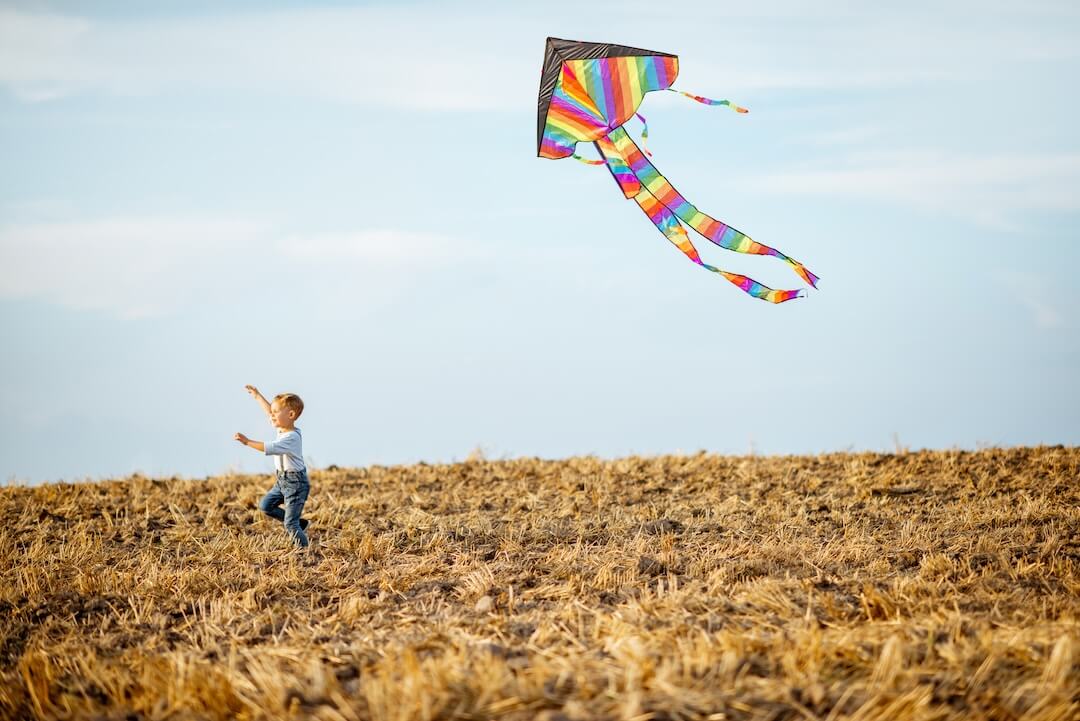 fother-and-son-flying-kite-on-the-field-2023-11-27-05-29-41-utc-2